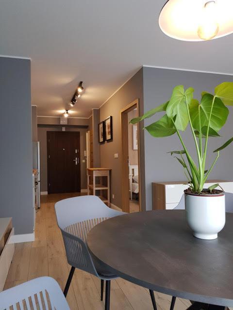 Apartament Triventi 88 Z Widokiem Na Sniezke - 5D Apartamenty Karpacz Exteriér fotografie